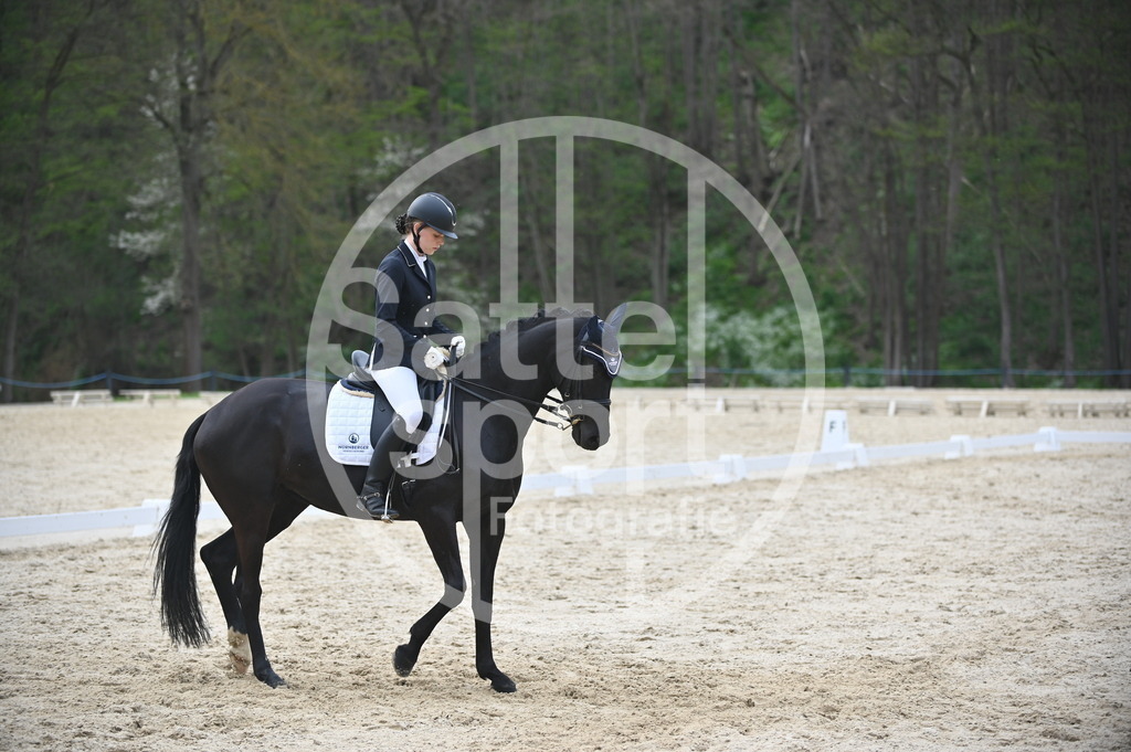 DSC_5243 | sattelsport - Realisiert mit Pictrs.com