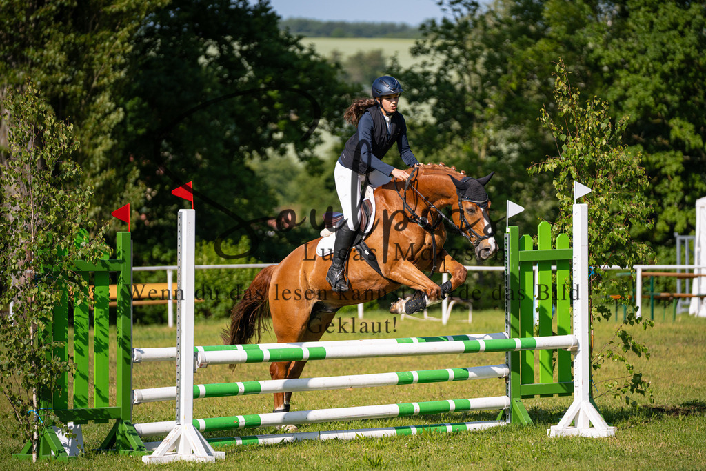 A7V05308 | Pferdefotograf