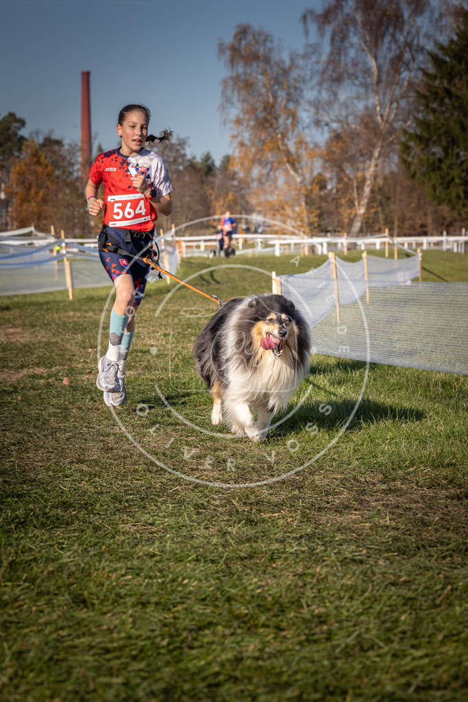 CaniXpix_0L8A7914 | Hundefotografie, Tierfotograf, Pfotenfotografie, Fotoshooting Hund, Hunde Portrait, Hundesport, Hundeportraits, Heideshooting, Hunde, Sportfotograf, Hundefotograf, Turnierhundsport, THS,  - Realisiert mit Pictrs.com