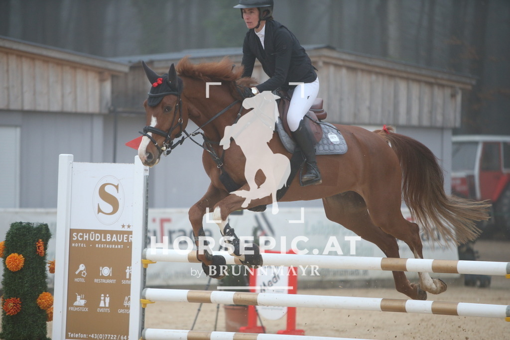 PP012403 | Willkommen bei Brunnmayr - Design & Fotografie – Ihrem Spezialisten für Reitturniere und Pferdeveranstaltungen in Oberösterreich, Salzburg und Bayern! Seit über 17 Jahren sind wir leidenschaftlich dabei.
