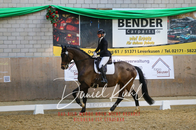 IMG_2725 | Turnierfotos kaufen im Webshop von Daniel Kuhl Photography – entdecke professionelle Reitsportfotos aus Turnieren & Events. Hochwertige Turnierbilder online bestellen & sichern. Jetzt Fotos von Reitsportturnieren kaufen!