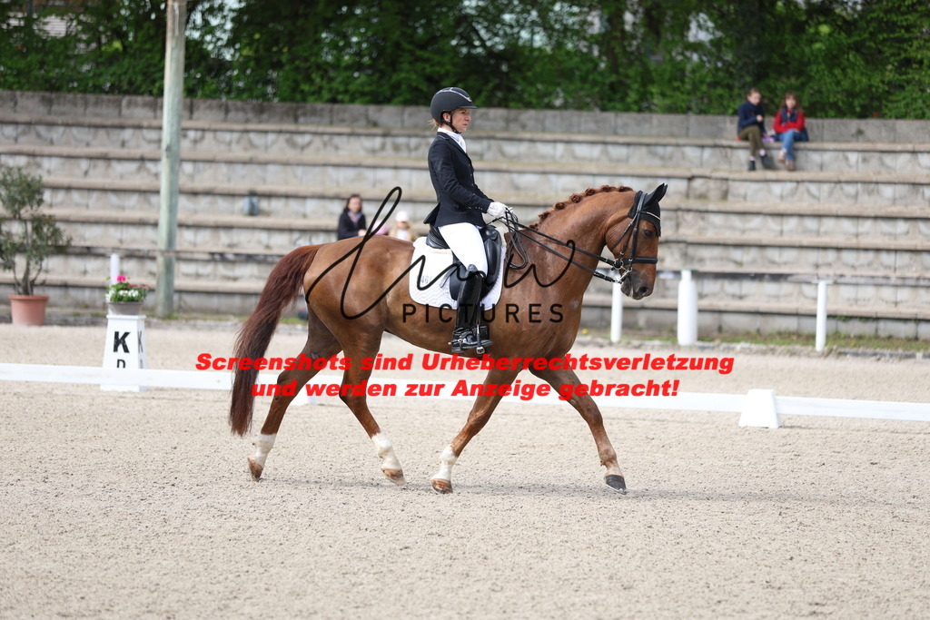 A40A4027 | lmwpictures - Realisiert mit Pictrs.com