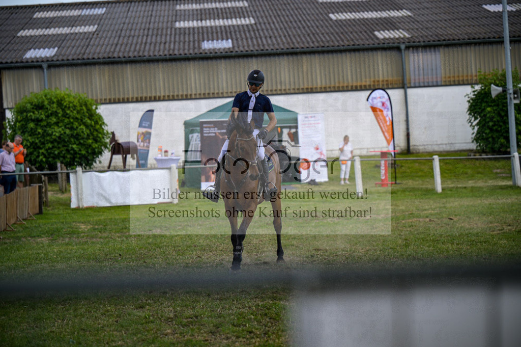 Reitturnier Voxtrup | Entdecke hochwertige Reitturnierfotos von Foto Oger. Professionell, emotional und authentisch – jetzt Lieblingsmomente im Shop bestellen.Deutschlandweite Turnierfotografie. - Realisiert mit Pictrs.com