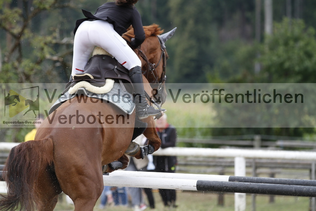 _MG_8921 | equestrian-live-com