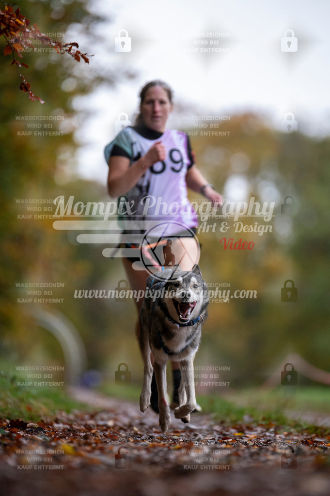 DBT_DAKM_SA_4_11_2023_Canicross-117 | PayLife
