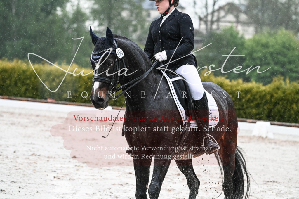 DSC_4680 | Pferde- und Turnierfotografie in Westsachsen. Pferdeportraits, Auftragszeichnungen und intuitive Kunst.