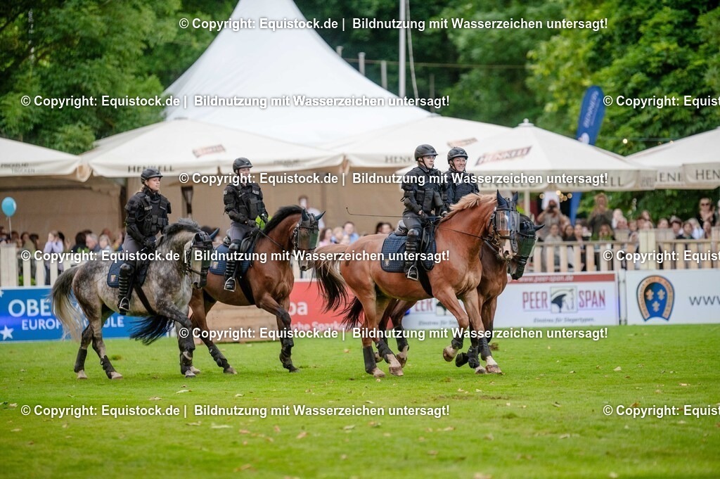 20250606_Lange-Pferdenacht_0703 | Foto: Thomas Hartig