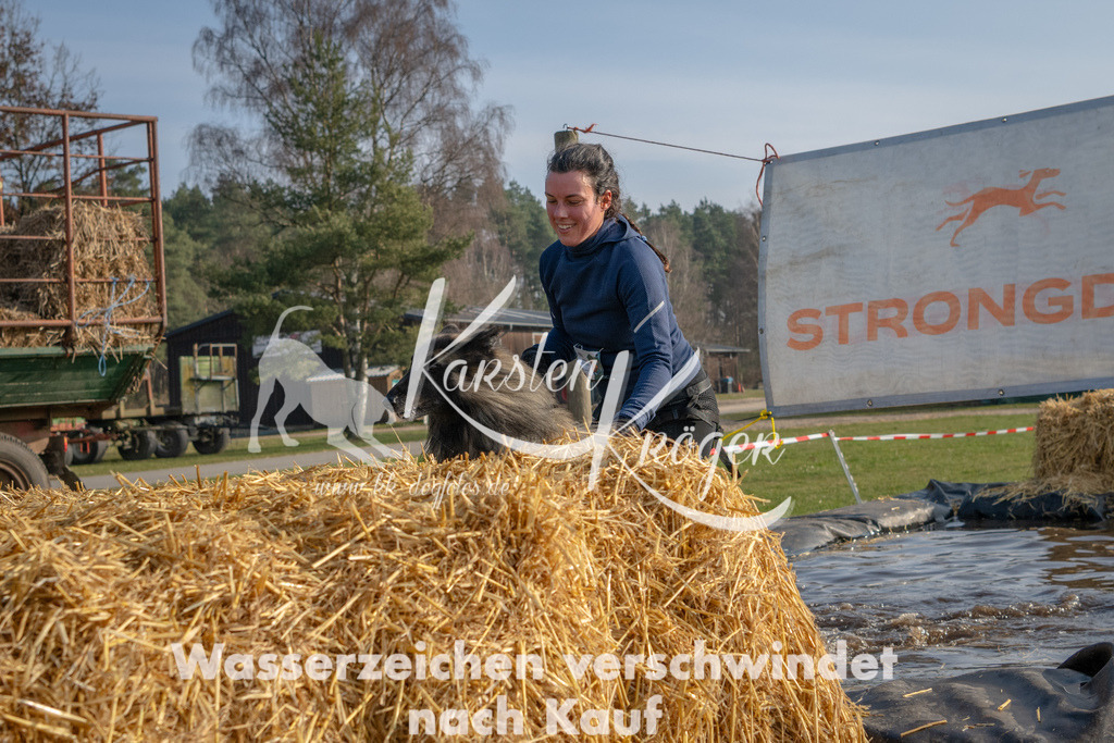 _ZZ92446 | kk-dogfotos