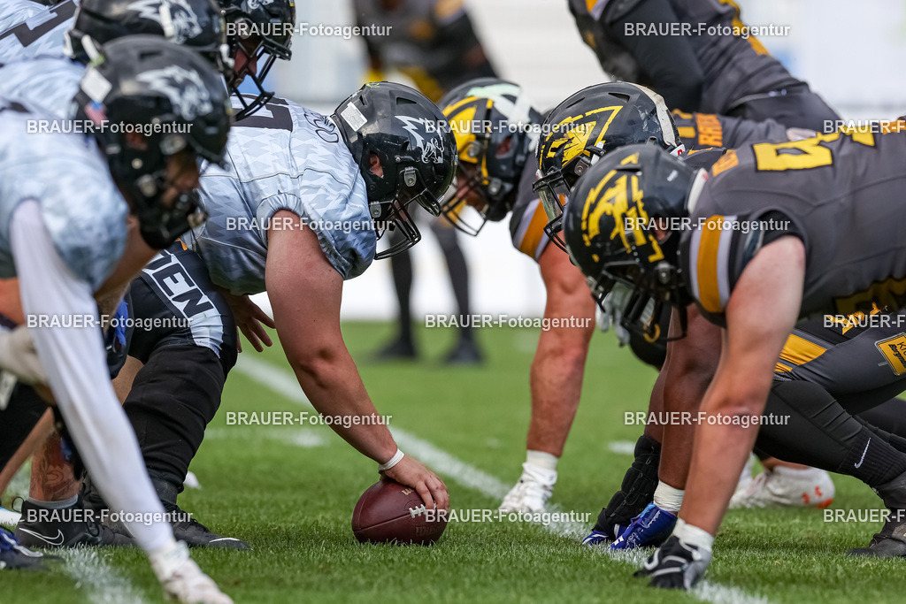 097_Ravens_20230827_1672 | BRAUER-Fotoagentur