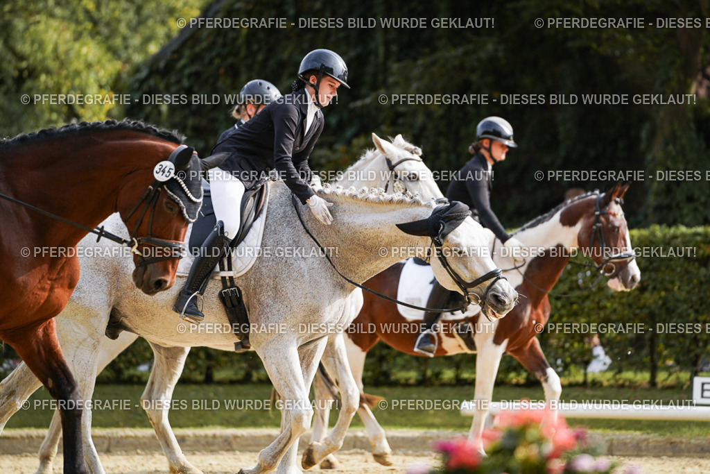 DSC04435 | Pferdegrafie