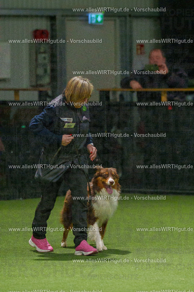 7R508743 | Professionelle Tierfotografie in Mönchengladbach von Daniel Wirth (allesWIRTHgut). Liebevolle & natürliche Bilder von Hunden & Katzen für unvergessliche Erinnerungen.