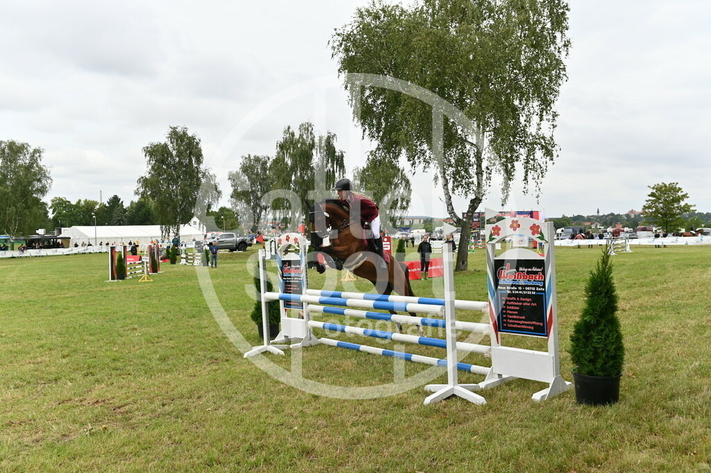 DSC_3091 | sattelsport - Realisiert mit Pictrs.com