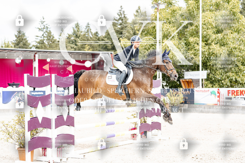 CK909283 | Turnierfotografie Pferdefotografie Trier Rheinland-Pfalz Pferdesport Reitsport Tierfotografie Sportfotografie Pferdevideo Pferdevideografie Equestrianvideography equestrianphotography  - Realisiert mit Pictrs.com
