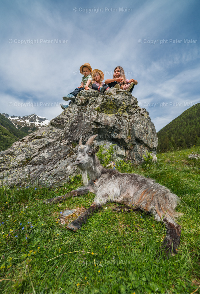 Rent_a_Goas_2024-579 | piet_flosse