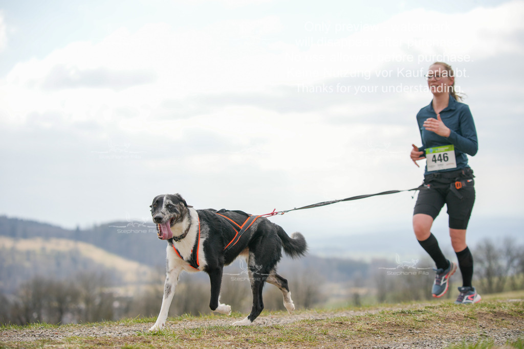 CaniXRunSA-293 | stephaniefillaphotographie - Realisiert mit Pictrs.com