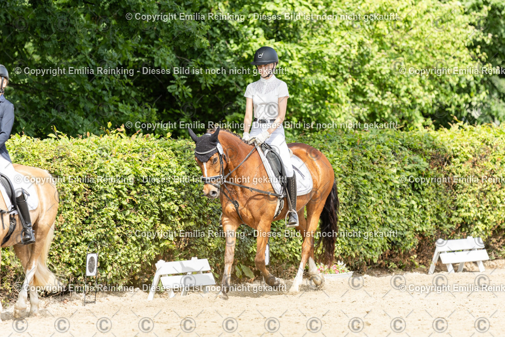 CL5A1250 | Emilia Reinking Fotografie - Realisiert mit Pictrs.com