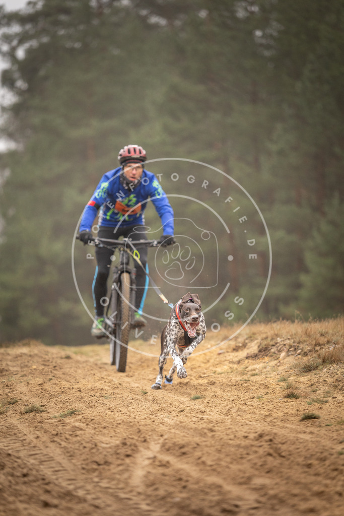Pfotenfotografie_DV3A2859 | Hundefotografie, Tierfotograf, Pfotenfotografie, Fotoshooting Hund, Hunde Portrait, Hundesport, Hundeportraits, Heideshooting, Hunde, Sportfotograf, Hundefotograf, Turnierhundsport, THS,  - Realisiert mit Pictrs.com