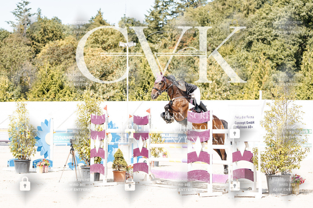 CK904779 | Turnierfotografie Pferdefotografie Trier Rheinland-Pfalz Pferdesport Reitsport Tierfotografie Sportfotografie Pferdevideo Pferdevideografie Equestrianvideography equestrianphotography  - Realisiert mit Pictrs.com