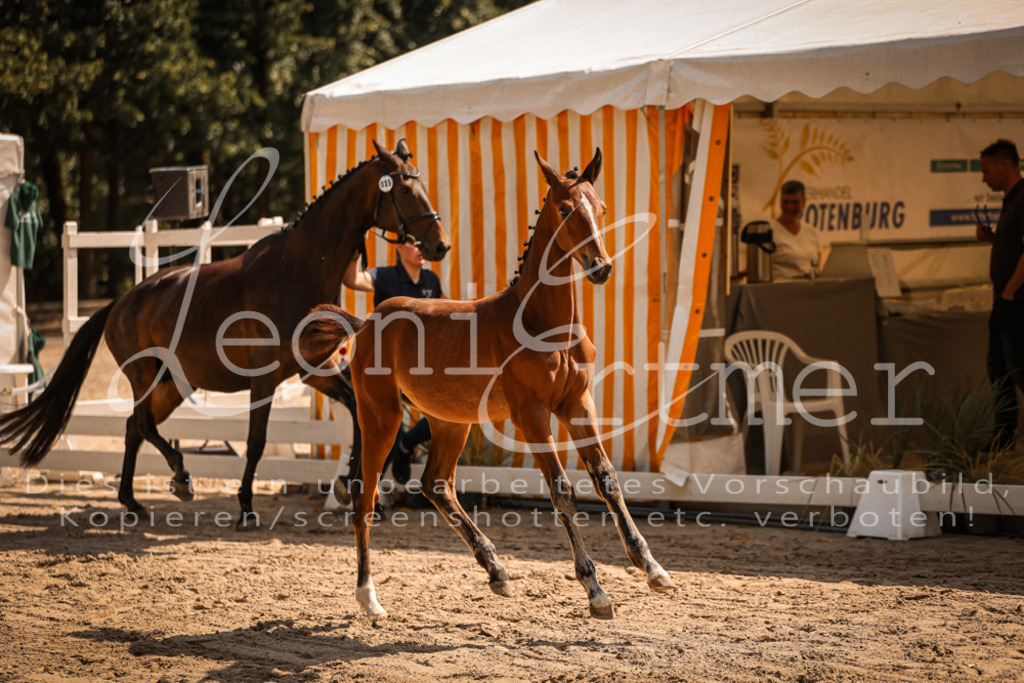 07.DoWBS00073 | Leoni Ertmer Photography - Realisiert mit Pictrs.com