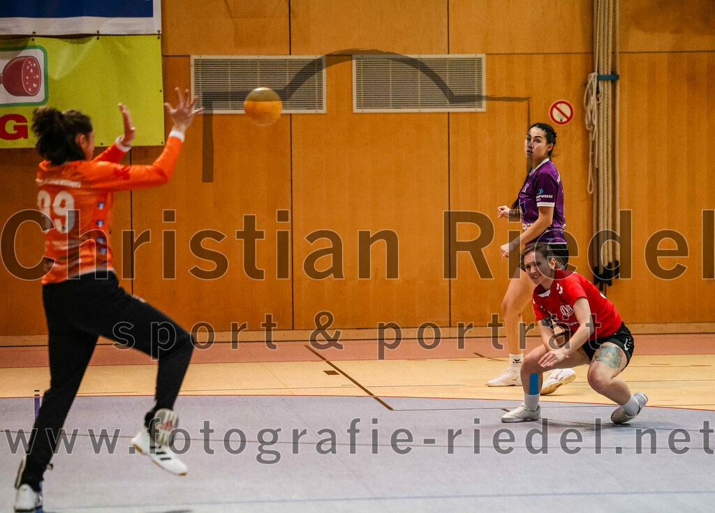 2024-01-27_009_SpVgg_Altenerding_II_gegen_TV_Altoetting_II | Erding, Deutschland, 27.01.2024:
Handball, Bezirksliga Frauen Altbayern 2023 / 2024, 10. Spieltag, SpVgg Altenerding II gegen TV Altötting II, Endergebnis: 17:29

Torfrau Nicole Steinbrecher (SpVgg Altenerding, #99)

Foto: Christian Riedel / fotografie-riedel.net