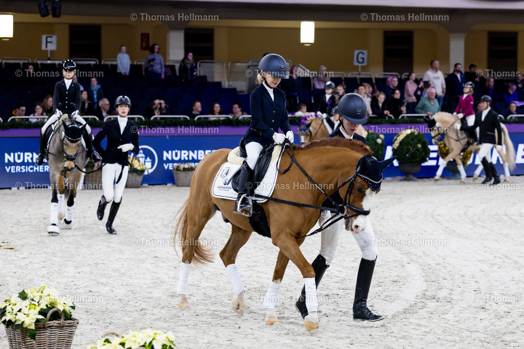 TH_Nürnberger Burgpokal Führzügelwettbewerb_13253 | Nürnberger Burgpokal Führzügelwettbewerb beim Festhallen Reitturnier Frankfurt 2023 am 15.12.23 in Frankfurt, Festhalle
