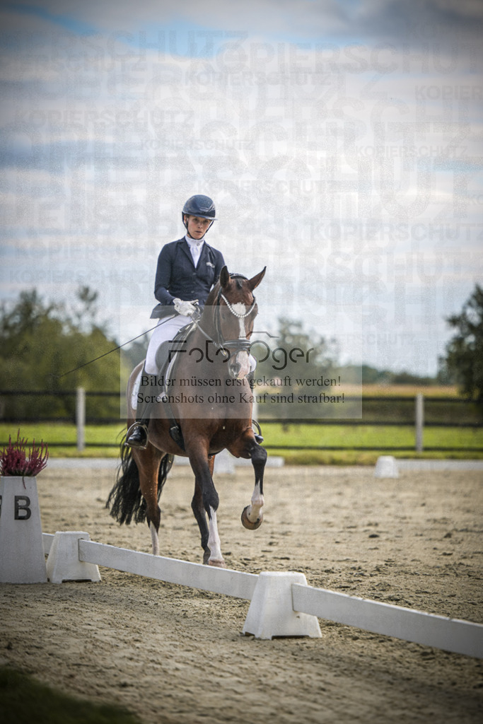 DOS_2266 | Entdecke hochwertige Reitturnierfotos von Foto Oger. Professionell, emotional und authentisch – jetzt Lieblingsmomente im Shop bestellen.Deutschlandweite Turnierfotografie. - Realisiert mit Pictrs.com