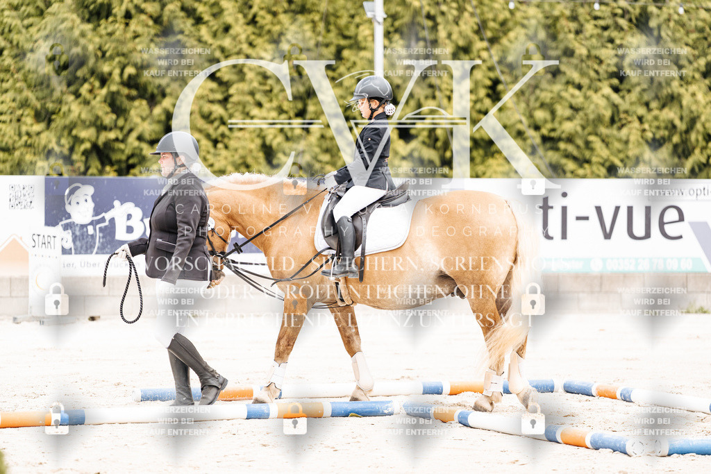 CK907162 | Turnierfotografie Pferdefotografie Trier Rheinland-Pfalz Pferdesport Reitsport Tierfotografie Sportfotografie Pferdevideo Pferdevideografie Equestrianvideography equestrianphotography  - Realisiert mit Pictrs.com