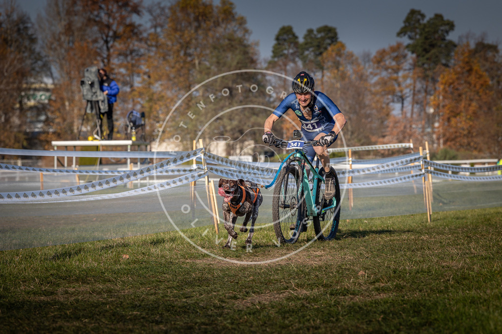 CaniXpix_0L8A6441 | Hundefotografie, Tierfotograf, Pfotenfotografie, Fotoshooting Hund, Hunde Portrait, Hundesport, Hundeportraits, Heideshooting, Hunde, Sportfotograf, Hundefotograf, Turnierhundsport, THS,  - Realisiert mit Pictrs.com