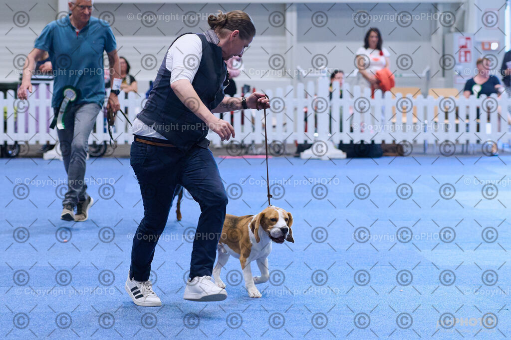 202406_ÖKV-IHA-Tulln24_DSC_3988 | proPHOTO - Realisiert mit Pictrs.com