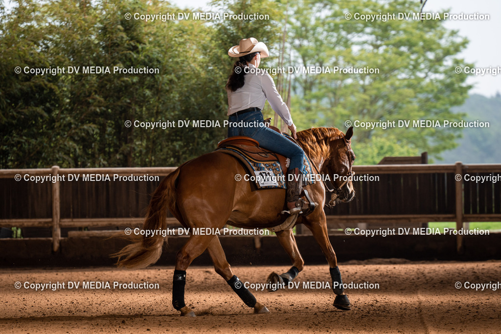 Erbach Tag 2-998 | dv-media-shop - Realisiert mit Pictrs.com