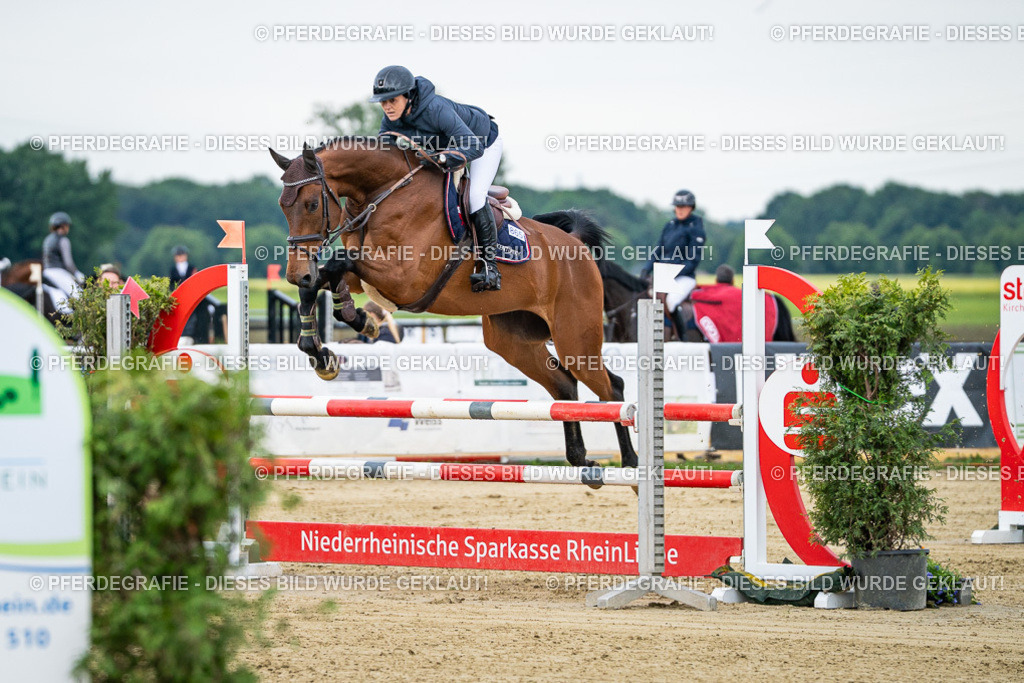 DSC05606 | Pferdegrafie