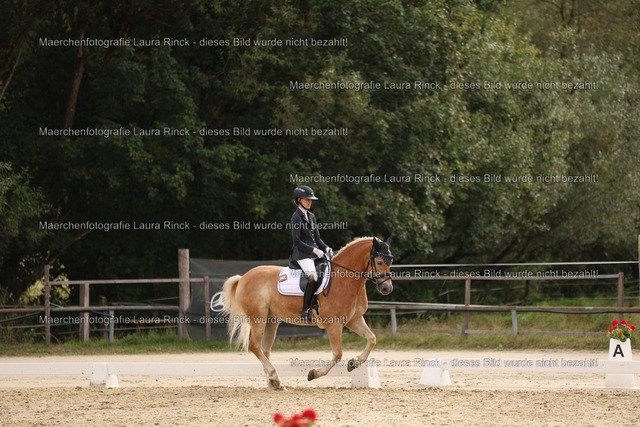 HG9A0640 | laurarinckfotografie - Realisiert mit Pictrs.com