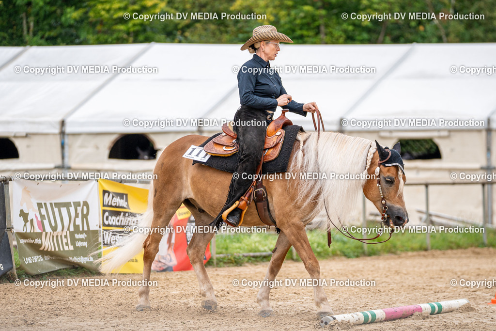 LM Heiligenwald Tag 3-480 | dv-media-shop - Realisiert mit Pictrs.com