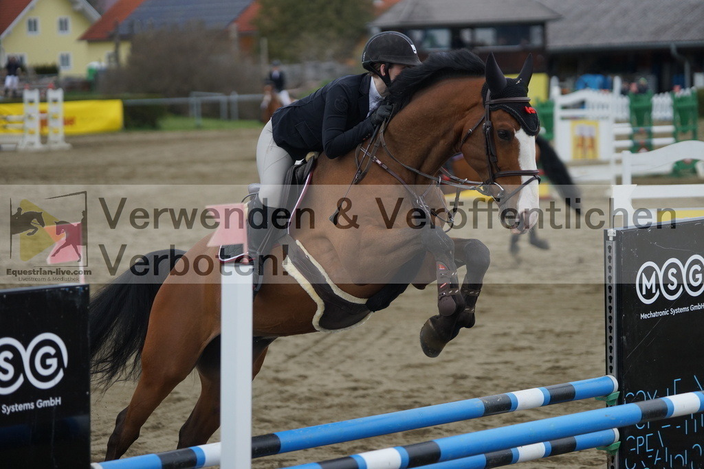 DSC01261 | equestrian-live-com