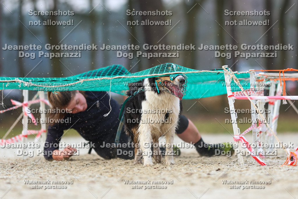Dog Paparazzi - Strongdog North Mrz26-3710 | Dog Paparazzi Jeanette Grottendiek Fotografie & Videografie - Realisiert mit Pictrs.com