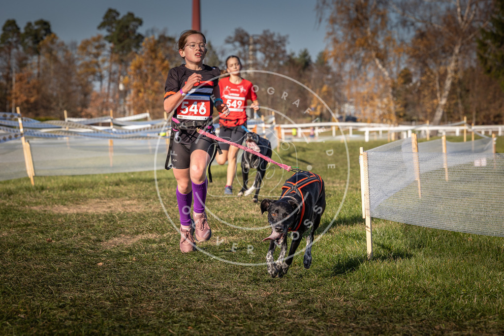 CaniXpix_0L8A7617 | Hundefotografie, Tierfotograf, Pfotenfotografie, Fotoshooting Hund, Hunde Portrait, Hundesport, Hundeportraits, Heideshooting, Hunde, Sportfotograf, Hundefotograf, Turnierhundsport, THS,  - Realisiert mit Pictrs.com