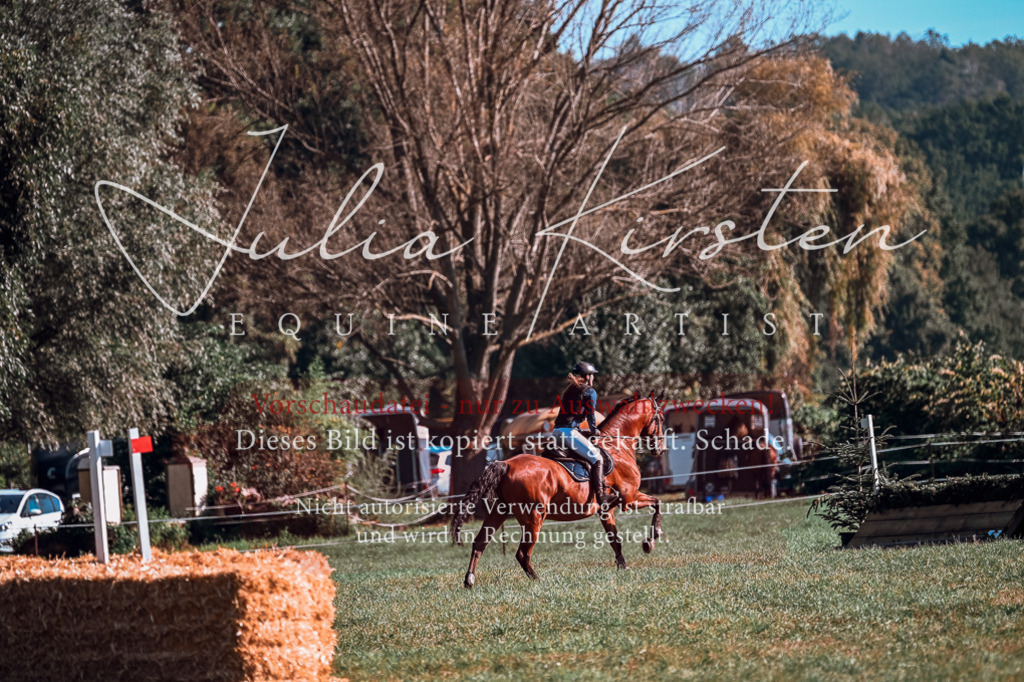 DSC_0562 | Pferde- und Turnierfotografie in Westsachsen. Pferdeportraits, Auftragszeichnungen und intuitive Kunst.