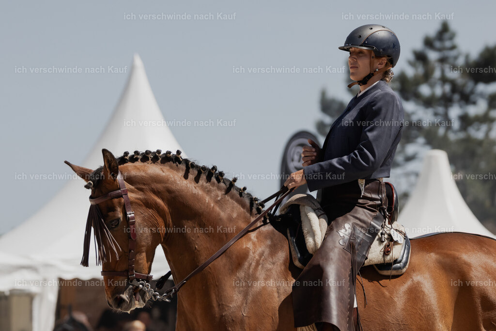 WE_SP_Stoib_313_PI2025_1762 | Pferd International München 2025