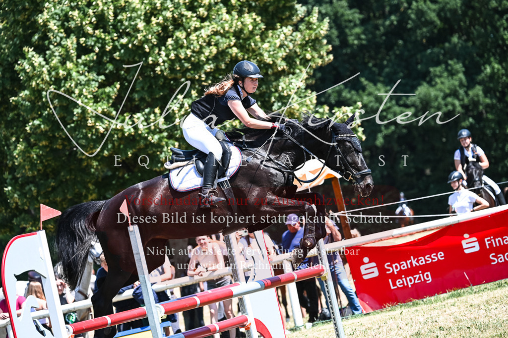 DSC_0500 | Pferde- und Turnierfotografie in Westsachsen. Pferdeportraits, Auftragszeichnungen und intuitive Kunst.