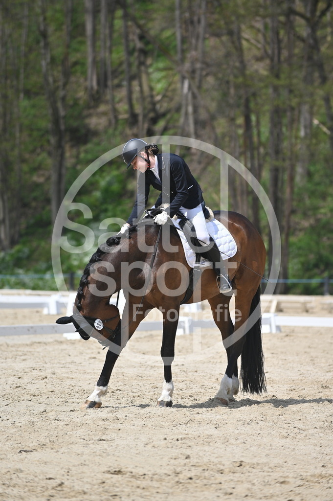 DSC_2409 | sattelsport - Realisiert mit Pictrs.com