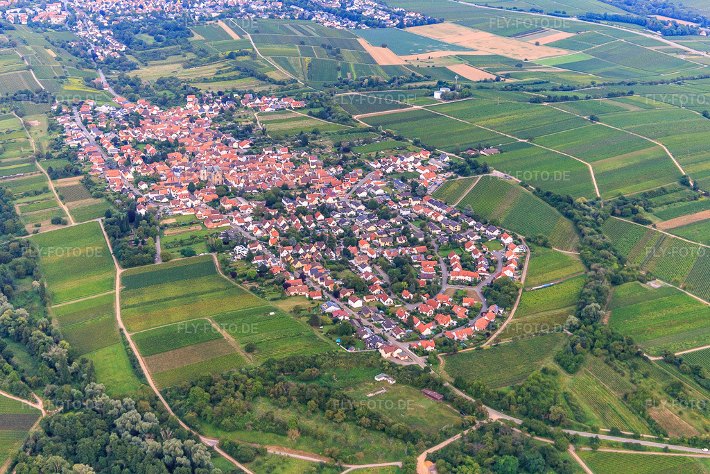 Luftbild: Ortsansicht von Westen im Ortsteil Arzheim in Landau im Bundesland Rheinland-Pfalz in Deutschland. Foto: IMG_128492.jpg vom 21.08.2021 durch Werner Riehm/FLY-FOTO.de