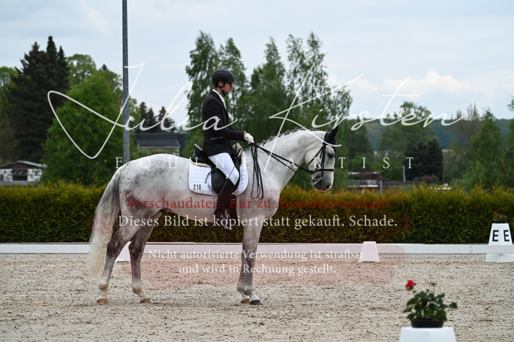 20230513_JK-Röhrsdorf-12-055-2 | Pferde- und Turnierfotografie in Westsachsen. Pferdeportraits, Auftragszeichnungen und intuitive Kunst.
