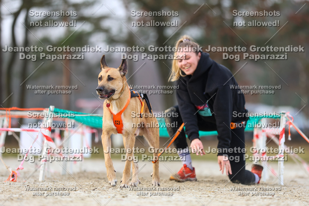Dog Paparazzi - Strongdog North Mrz26-3801 | Dog Paparazzi Jeanette Grottendiek Fotografie & Videografie - Realisiert mit Pictrs.com