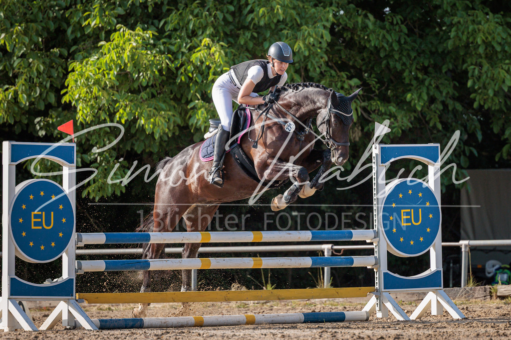 20260529-_3LI0488 | Tierfotografie Pferde, Hunde, Katzen, Haustiere.
Turnierfotografie Reitturniere, Reiten, Springreiten, Dressur in Hanau, dem Main-Kinzig-Kreis und dem Rhein-Main- Gebiet um Frankfurt