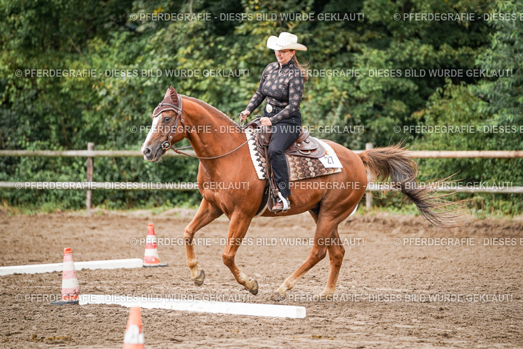 DSC04027 | Pferdegrafie