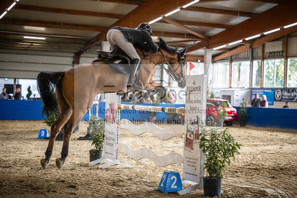 DOS_0886 | Entdecke hochwertige Reitturnierfotos von Foto Oger. Professionell, emotional und authentisch – jetzt Lieblingsmomente im Shop bestellen.Deutschlandweite Turnierfotografie. - Realisiert mit Pictrs.com