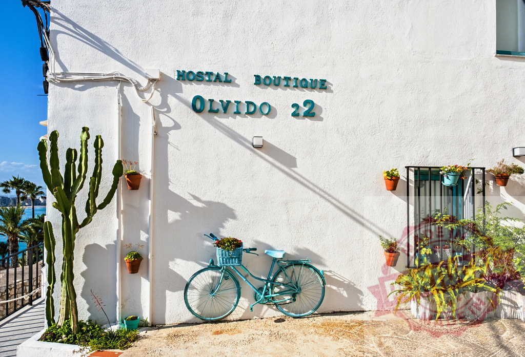 Hostal Boutique Olvido 22 exterior with bicycle and cactus | Hostal Boutique Olvido 22 showing a vintage bicycle and cactus on a whitewashed wall in Spain - Realized with Pictrs.com