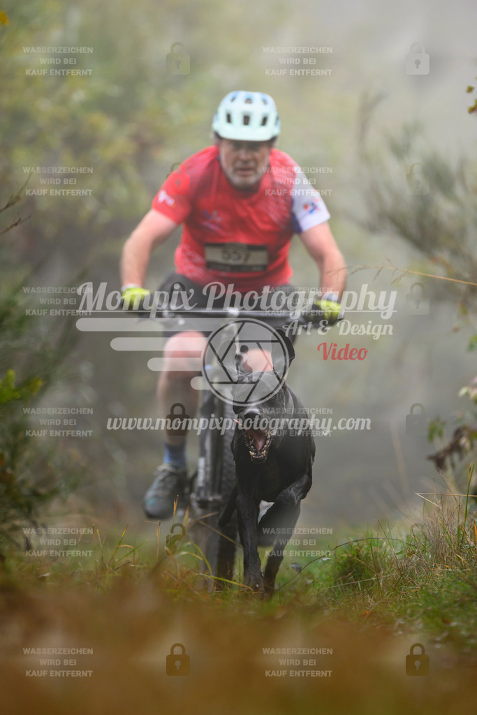 MompixPhotography_20TSB_E4_Bike-136 | PayLife