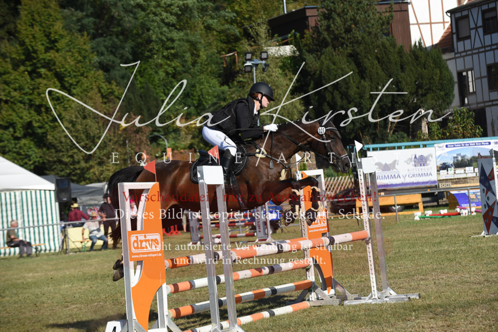 DSC_5365 | Pferde- und Turnierfotografie in Westsachsen. Pferdeportraits, Auftragszeichnungen und intuitive Kunst.