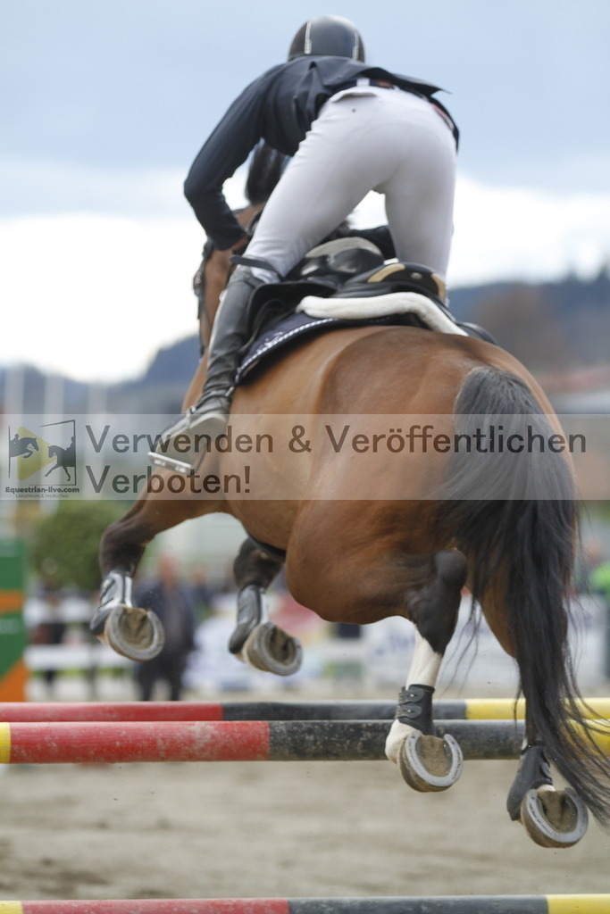 _MG_8690 | equestrian-live-com